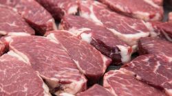 Disminuyó un 15% el consumo de carne vacuna en Argentina