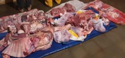 Trasladaban casi 40 kilos de carne faenada ilegalmente en una moto