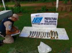  Prefectura secuestró especies en Km1464 del río Paraná
