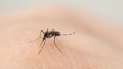 Conmoción: murió un nene de tres años por dengue en Córdoba