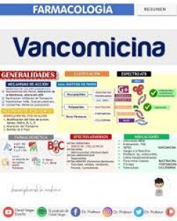 Vancomicina podría estar perdiendo fuerza contra la infección mortal