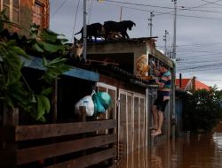 Brasil: 5.000 animales por las inundaciones